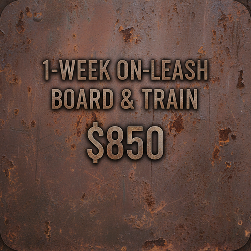 1-Week Board & Train - Clean