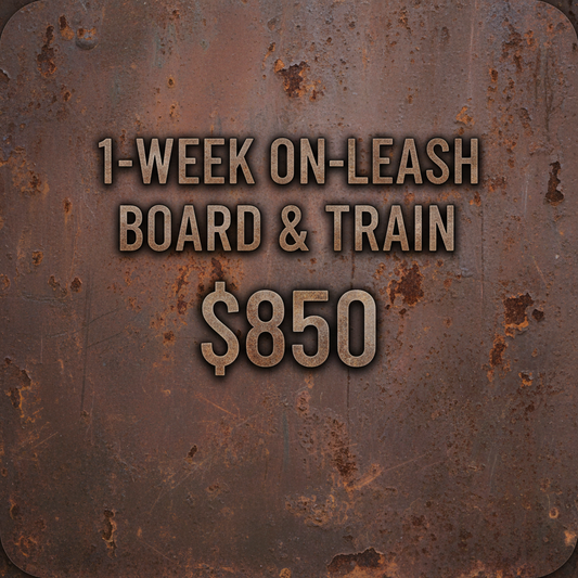 1-Week Board & Train - Clean