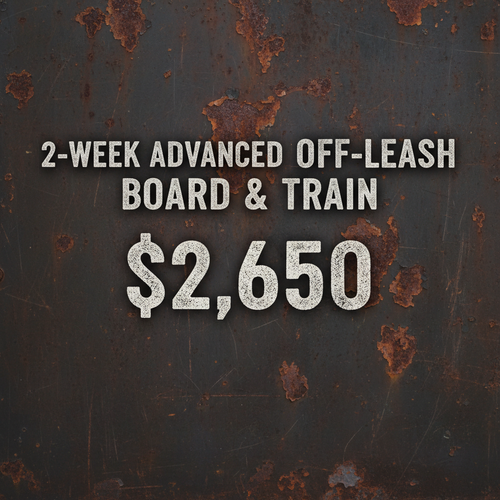 2-Week Advanced