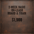2-Week Basic