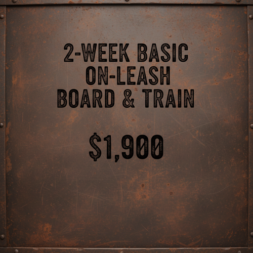 2-Week Basic