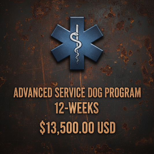 Advanced Service Dog - 12 Weeks