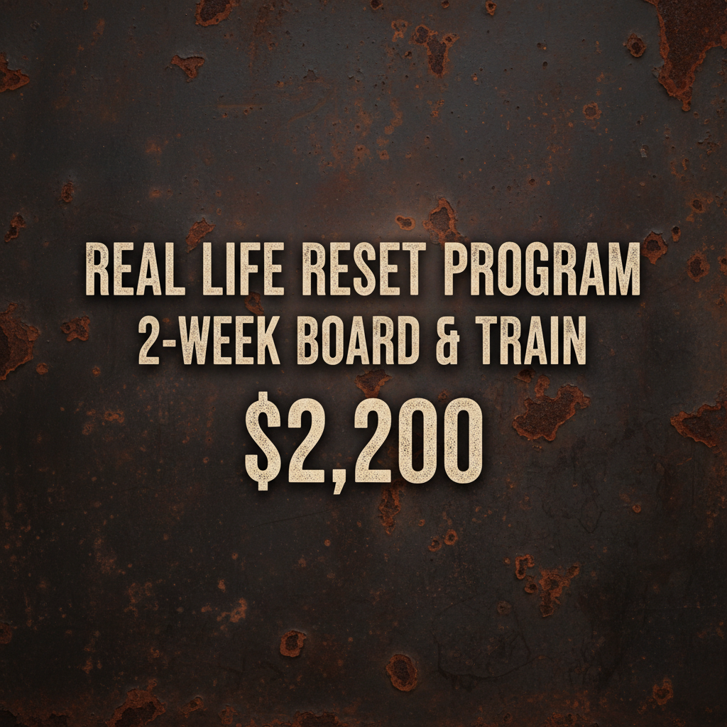 Real Life Reset Program - $2,200