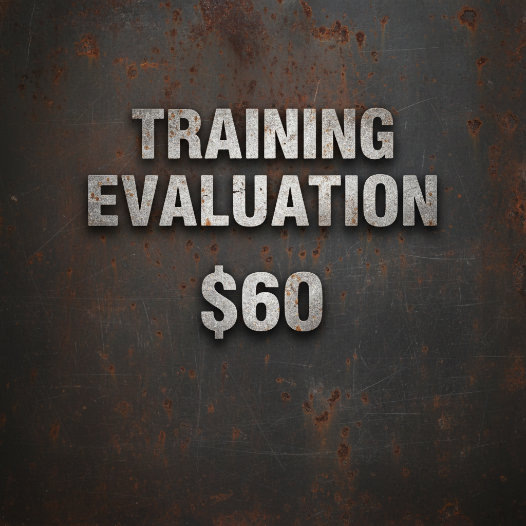 Training Evaluation - Clean